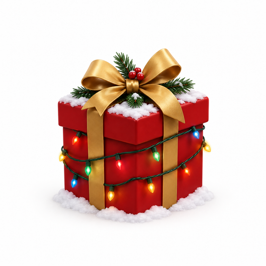 Santa's Mystery Box